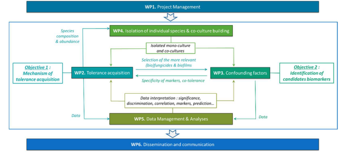 Workpackages